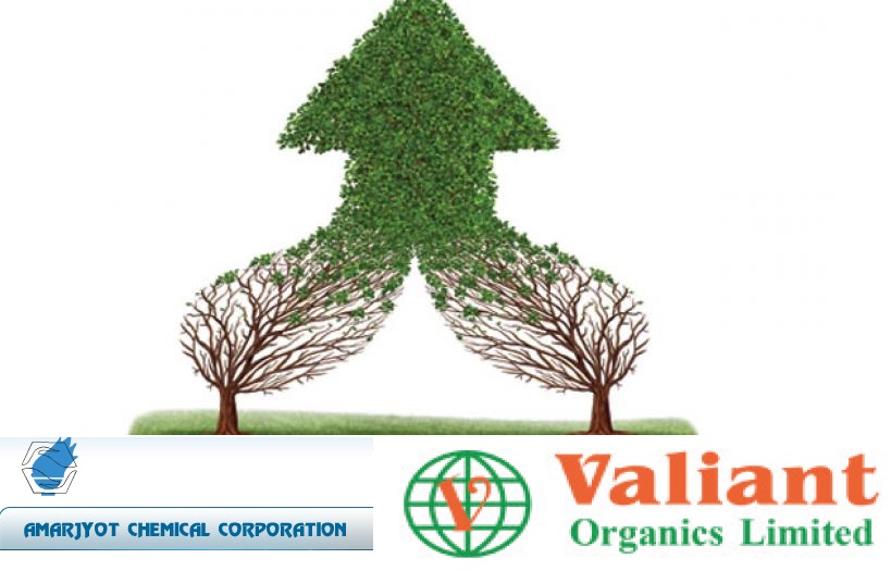 Amarjyot-Valiant-Organics-Consolidation-Grow