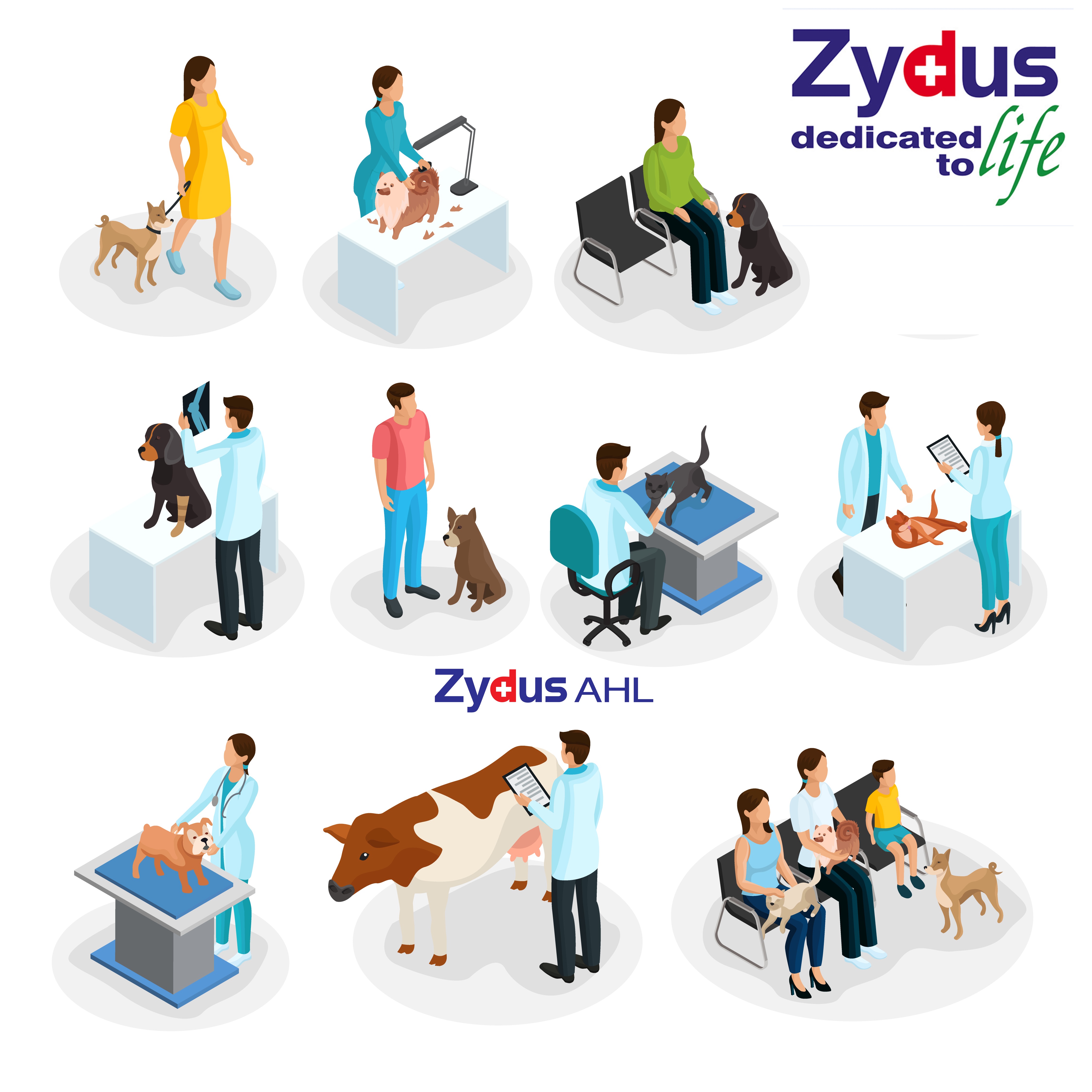 Cadila-healthcare-Zydus-Animal-Health-Slump-Sale