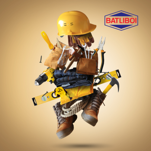 Batliboi-Merger-Associate-Company