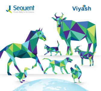 Sequent-Scientific-Viyash-Lifesciences-Merger-Consolidation