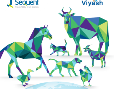 Sequent-Scientific-Viyash-Lifesciences-Merger-Consolidation