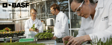 BASF India Demerger article image