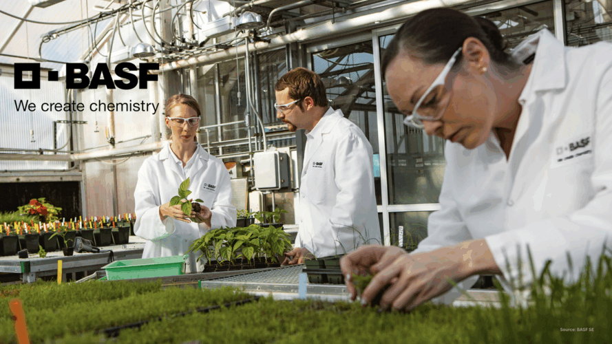 BASF India Demerger article image