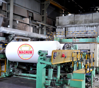 Magnum-Ventures-Paper-Business-Demerger