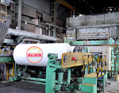 Magnum-Ventures-Paper-Business-Demerger