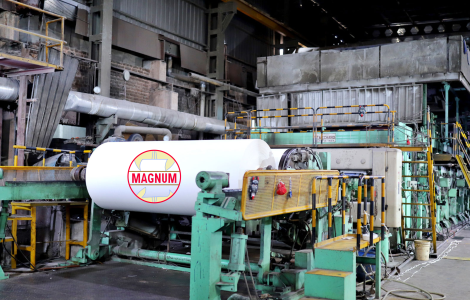 Magnum-Ventures-Paper-Business-Demerger